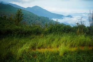 BIB: 
                            <button type="button" onclick="openModal(25005930)" class="btn btn-primary btn-sm float-right btn-popup" data-toggle="modal" data-target=".modal-high-quality">
                        <i class="fas fa-shopping-cart"></i> Add to Cart
                    </button>
                                            <button type="button" onclick="isThisMe(25005930, true)" class="btn btn-success btn-sm float-right btn-popup btn-isme hidden" data-toggle="tooltip" data-placement="bottom" title="นี่คือรูปของคุณใช่ไหม คลิกที่นี่เพื่อเอาเข้าอัลบั้ม">
                        <i class="fas fa-plus"></i> Add to album
                    </button>
                    <button type="button" onclick="isThisMe(25005930, false)" class="btn btn-warning btn-sm float-right btn-popup btn-isnotme hidden">
                        <i class="fas fa-ban"></i> Remove from album
                    </button>